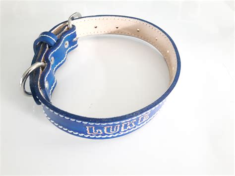 Custom Made Blue Leather Dog Collar Engraved LUKE With Leash | Enlight ...