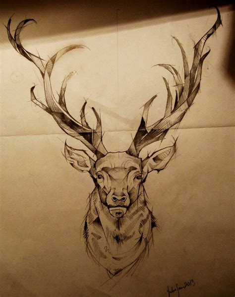 Tattoo Ideas Stag Tattoo Deer Skull Tattoos Elk Tattoo