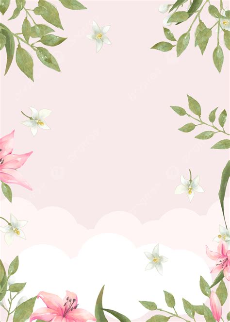 Background Latar Belakang Bunga Lily Pink Elegan Pink White Cantik