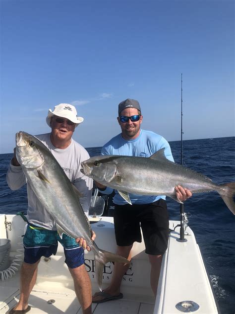 Amberjack Fishing Charters Clearwater Fl Fisheye Sportfishing