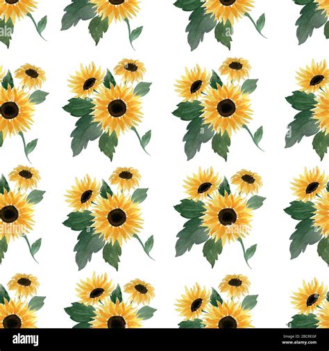 Share 55 Cow Print And Sunflower Wallpaper Incdgdbentre