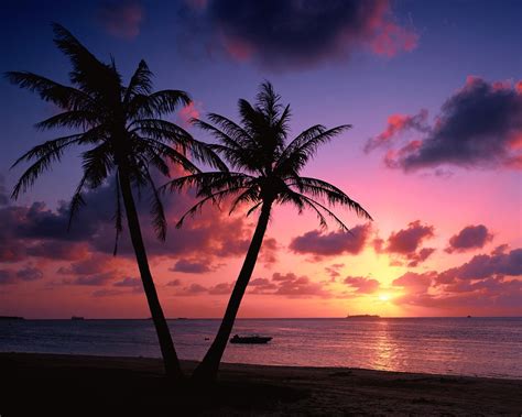 壁紙 ペアヤシの木、海、海岸、日没、雲、赤い空 1920x1080 Full Hd 2k 無料のデスクトップの背景 画像