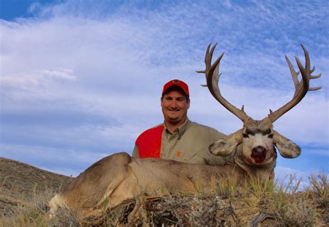 Premium Mule Deer Hunting In Wyoming Daly Ranch Outfitters