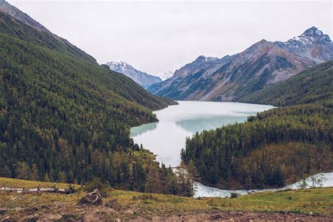 Kucherla Lake And River In The Altai Mountains Russia Stock Photos