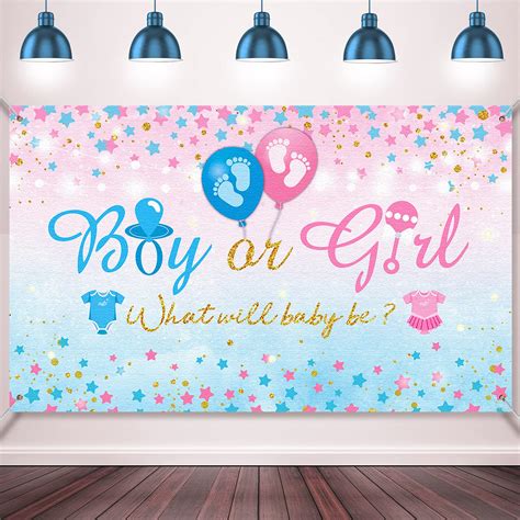 Buy Gender Reveal Background Boy Or Girl Backdrop Blue Pink Gender