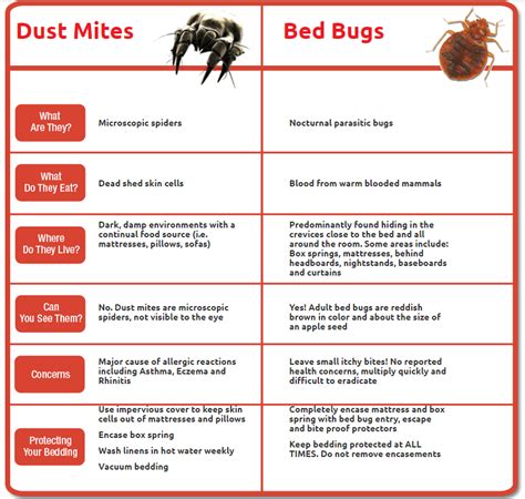 Dust Mites Versus Bed Bugs Bed Bug Bites Bed Bug Remedies Dust Mites