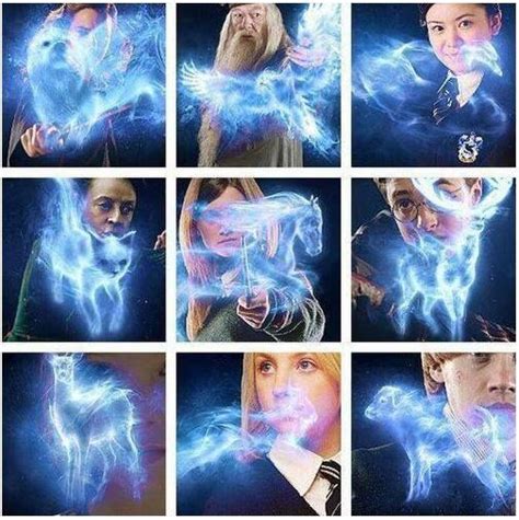 Patronuses Harry Potter Patronus Harry Potter Cast Harry Potter Hermione Granger