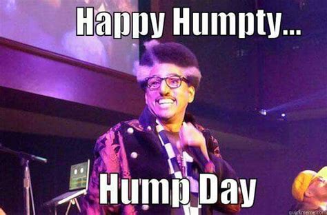 Happy Humpty Hump Day Funny Memes Hump Day My Love