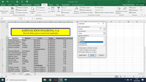 Microsoft Excel Listas Subtotales Y Esquema Youtube