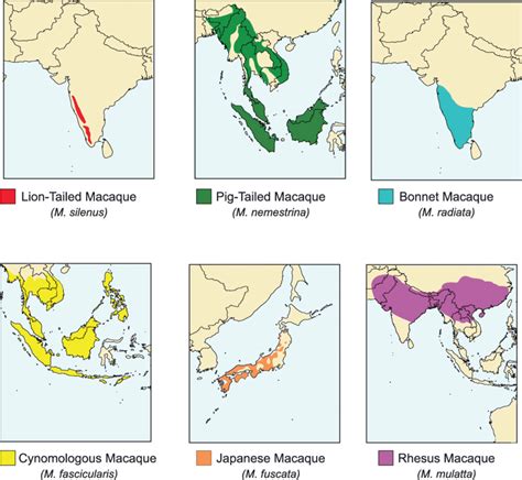 Maps Depicting Macaque Species Ranges The Figure Shows The Natural