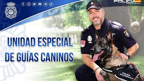 Exhibici N Unidad Especial De Gu As Caninos De La Polic A Nacional