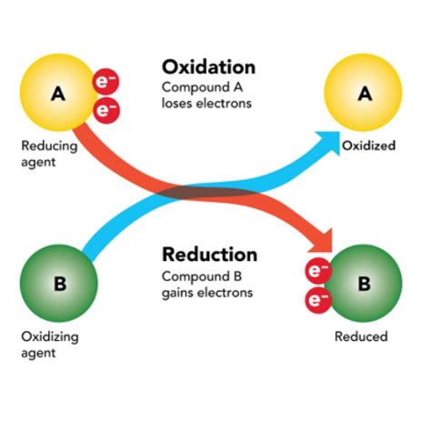 Oxidation Reduction Potential Orp Healthyswim