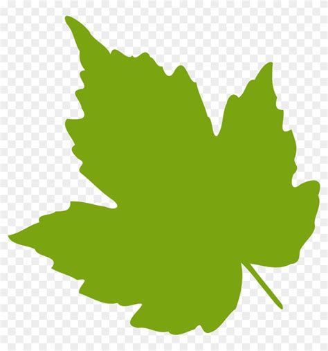 Grape Vine Leaves Clip Art Green Leaf Clip Art Hd Png