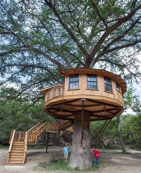 goals build one of these tree house designs cool tree houses beautiful tree houses