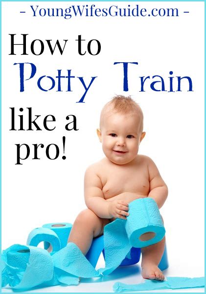 More Potty Training Pointers Young Wifes Guide