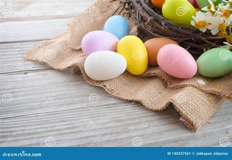 Colorful Easter Eggs In Nest With Flower Stock Image Image Of April