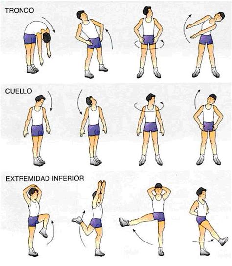 Selección de ejercicios de estiramiento para la selección masculina j