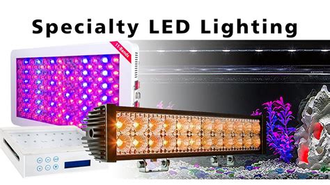 Specialty Led Lighting Youtube