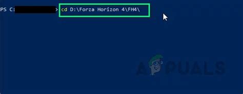 如何修复 Windows 10 上的 Forza Horizon 4 游戏崩溃？