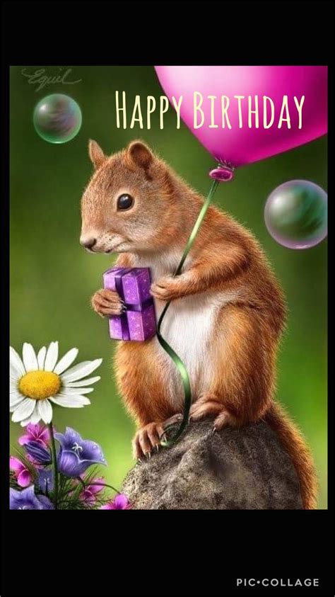 Happy Birthday Squirrel Meme · Memerest