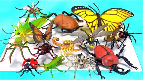 Insects Names For Kids Learn Colors Bugs Toy Videos For Children