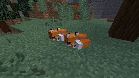How To Tame A Fox In Minecraft 2021 Pro Game Guides