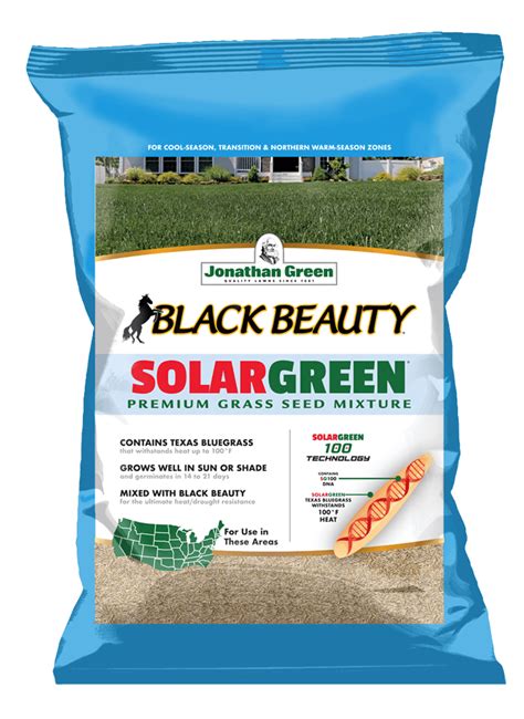 Black Beauty Texas Bluegrass Grass Seed Jonathan Green