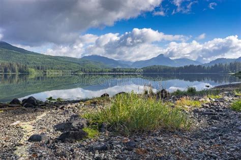 Morning Landscape At Nitinat Lake British Columbia Canada Stock Image