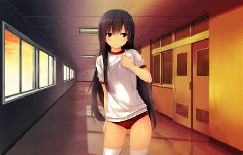 Girl Sexy Shorts Thighhighs Long Hair Anime Beautiful Pretty Brunette Attractive