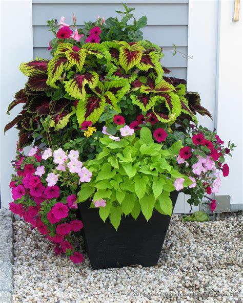 Planter And Container Garden Design Fairfield County Ct