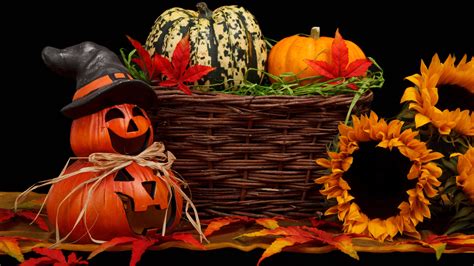 Halloween Pumpkin With Basket Of Gourds Autumn Leaves And Flower