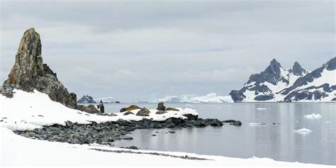 Half Moon Island Antarctica Cruise Port Schedule Cruisemapper