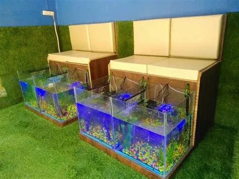 Garra Rufa Fish Pedicure Spa Setup At Rs 40000piece Garra Rufa Fish