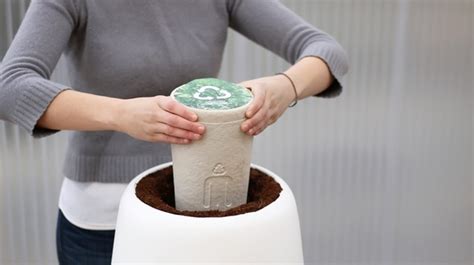 Bios Incube Is A Smart And Stylish Way To Grow A Tree From The Ashes Of Departed Loved Ones