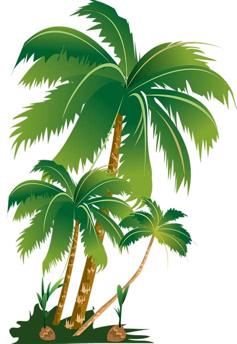 Palm Trees Portable Network Graphics Clip Art Image Tree Png Download