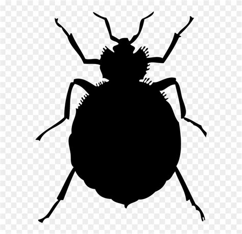 Bed Bugs Clip Art 20 Free Cliparts Download Images On Clipground 2023