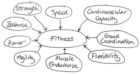 10 Components Of Fitness Diagram Quizlet