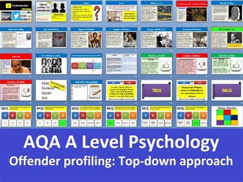 Offender Profiling Top Down Approach Aqa A Level Psychology