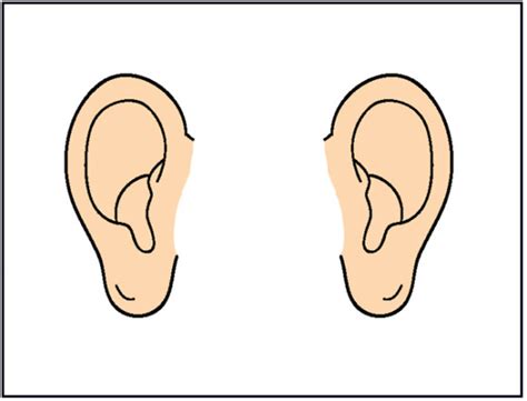 Ears Pictures For Kids Clipart Best