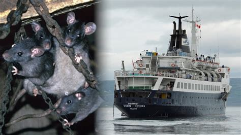 Cannibal Rat Infested Ghost Ship Headed For Britain Youtube