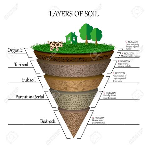 Layers Of Soil Clipart