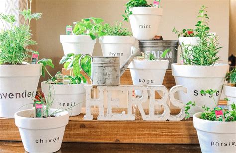 A Mini Herb Garden For You To Grow This Spring With Fun Diy Pots