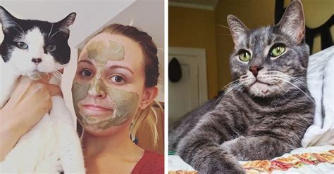 cat acne exists      treat  teen vogue