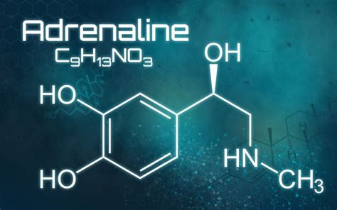 Adrenaline is a hormone released into the body of someone feeling extreme emotions, which causes the person to have more energy. Adrenalin - das Action-Hormon - wissenschaft.de