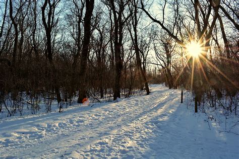 Walking In Winter Sunshine Jonathan Bloy