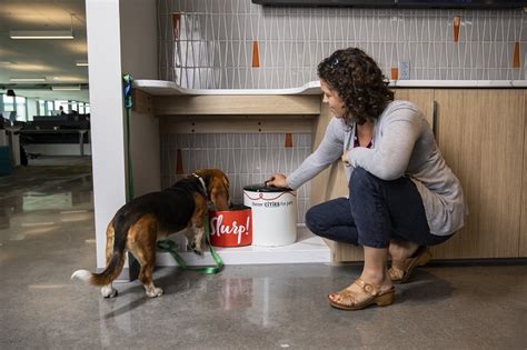 (2 days ago) here at mars, there's always a story to tell. Mars Petcare opens new US pet-friendly headquarters ...