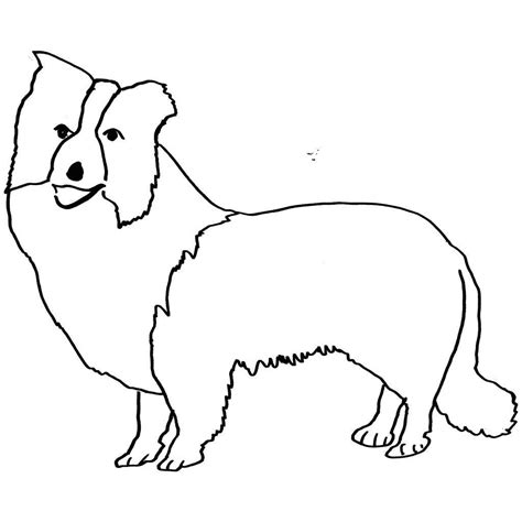Border Collie Coloring Pages