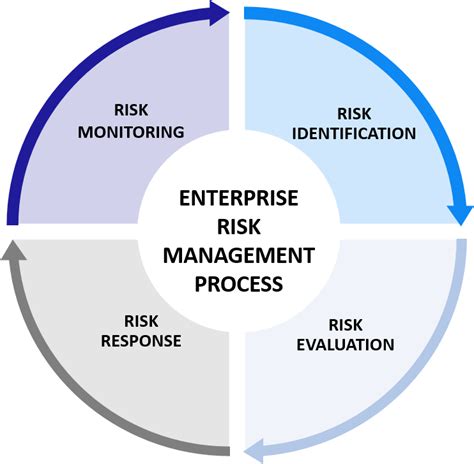 The Enterprise Risk Management Process Nexi