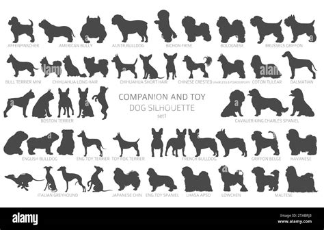 Dog Breeds Silhouettes Simple Style Clipart Companion And Toy Dogs