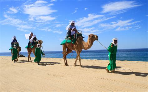 Encuentro Y Paseo En Camello Los Cabos Posada Real